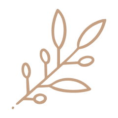 Natural olive colour