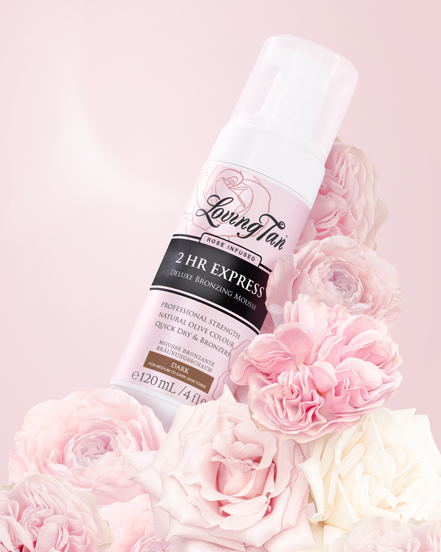 Rose 2 HR Express Mousse Dark